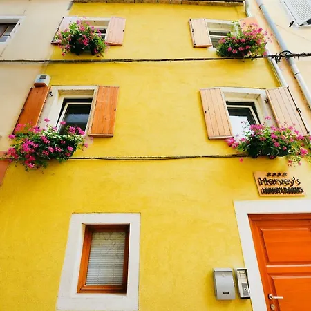 Harvey's Luxury بيت ضيافة 4*